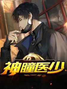 神瞳醫(yī)少小說(shuō)